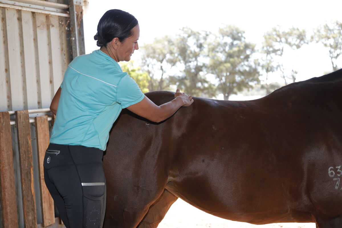 Close-up of a horse's neck and shoulder during soft-tissue work.